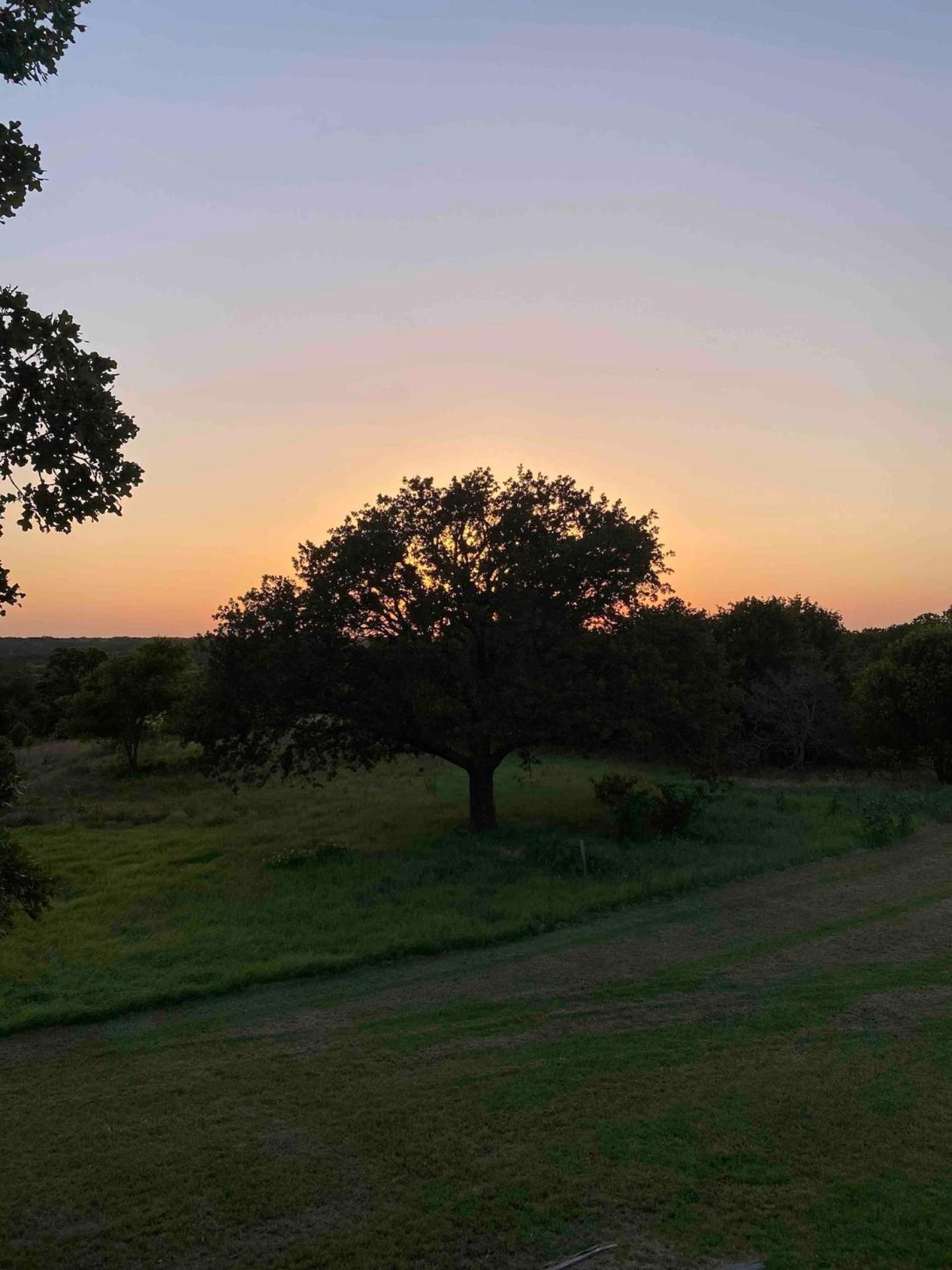 Nature Retreateclectic Country Boho Farmhouse Nocona ภายนอก รูปภาพ