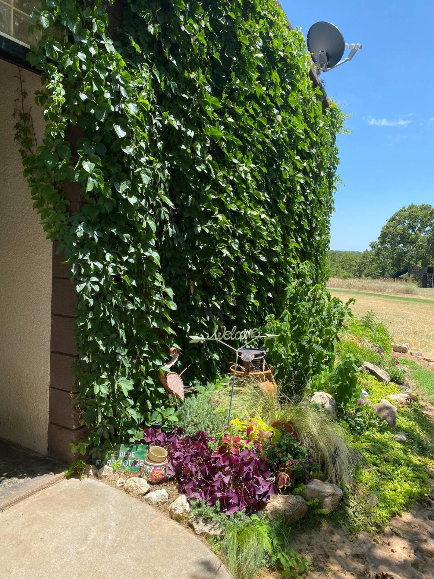Nature Retreateclectic Country Boho Farmhouse Nocona ภายนอก รูปภาพ